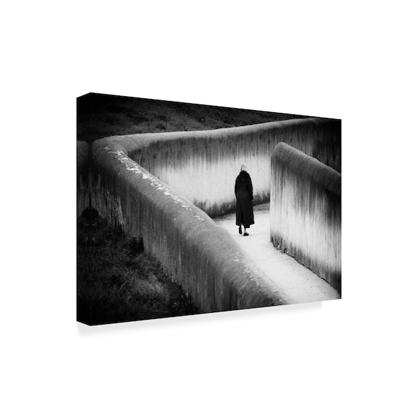 Paulo Abrantes 'Cold Cold Ground' Canvas Art,16x24